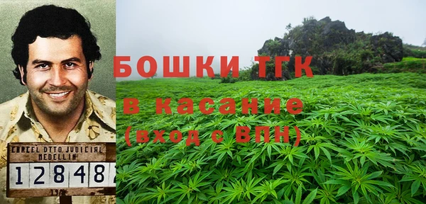 шишки Алексеевка
