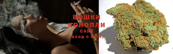 шишки Алексеевка