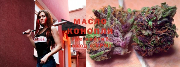 тгк Алзамай