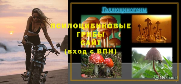 тгк Алзамай